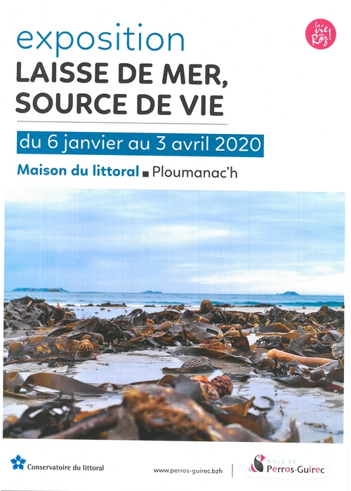 exposition-laisse-de-mer