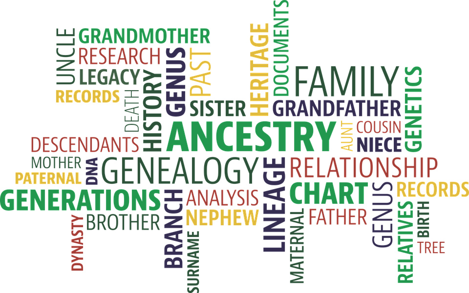 genealogy