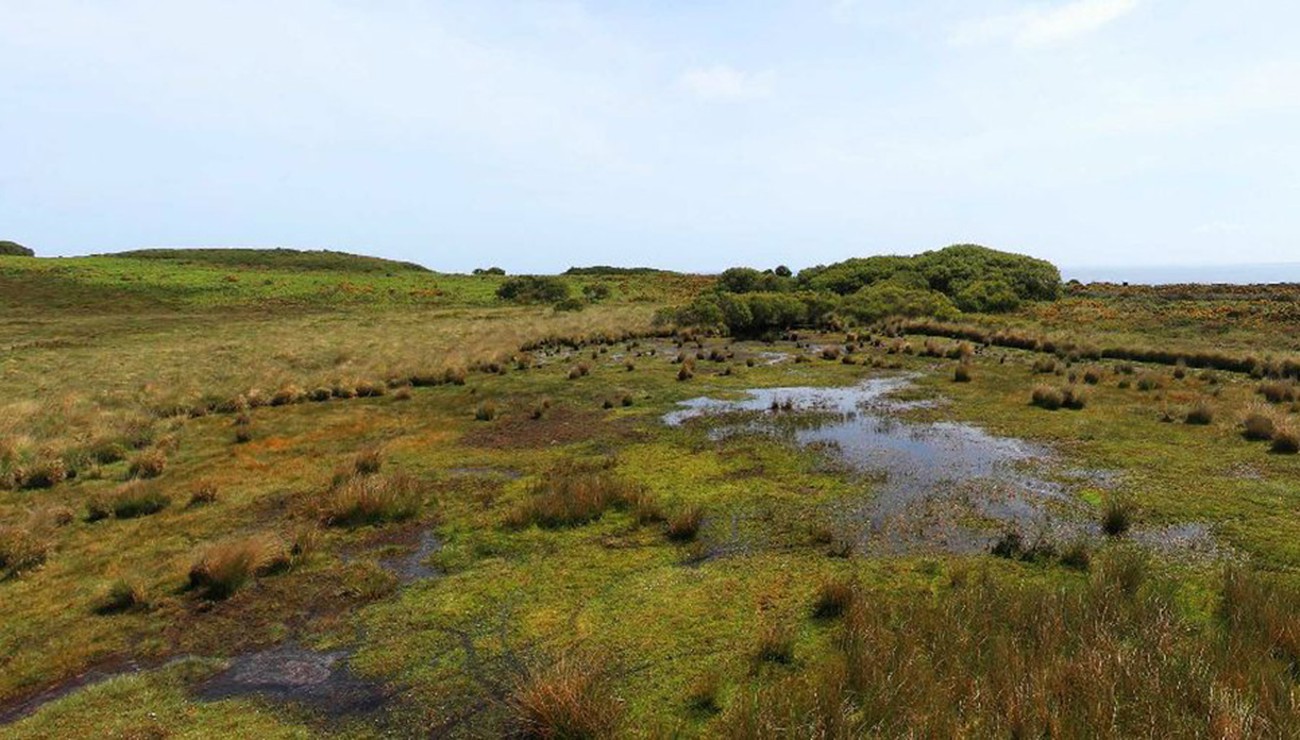 Patrimoine caché : les tourbières du Cap Fréhel