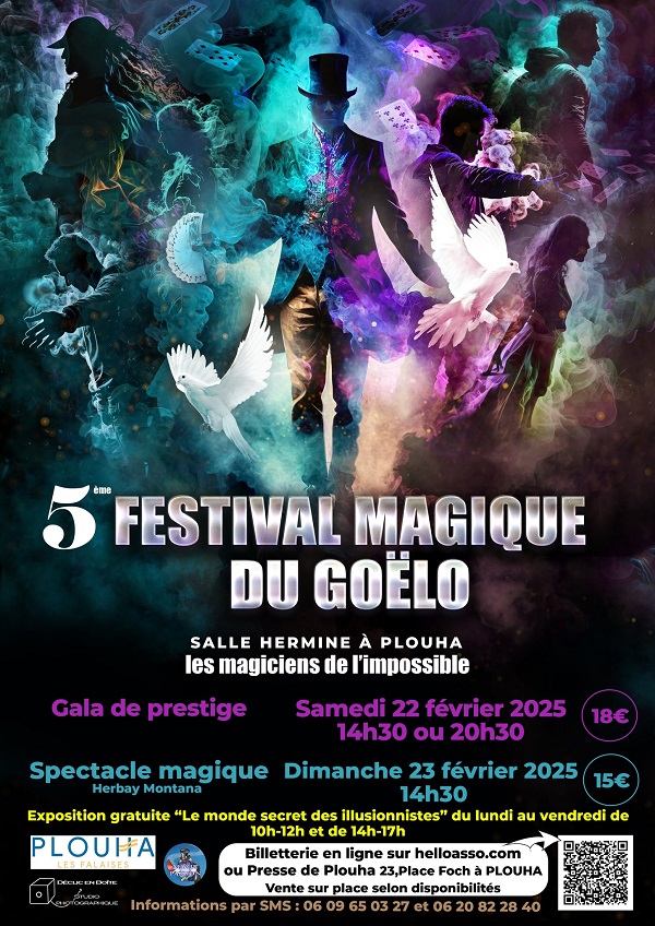 Visuel libre de droit -Affiche festival de magie