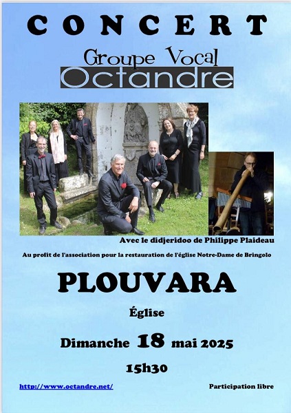 Visuel libre de droit -Octandre