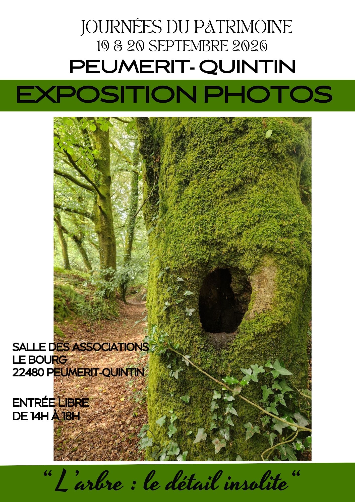 Exposition « le détail insolite dans l'arbre » JEP 2026