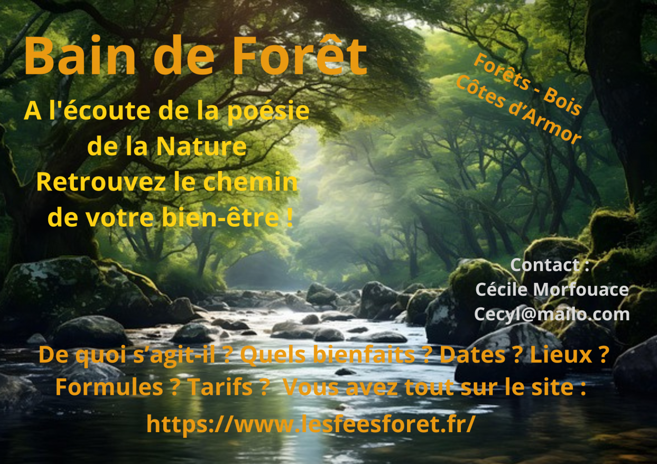 Visuel non libre de droit - bain de foret