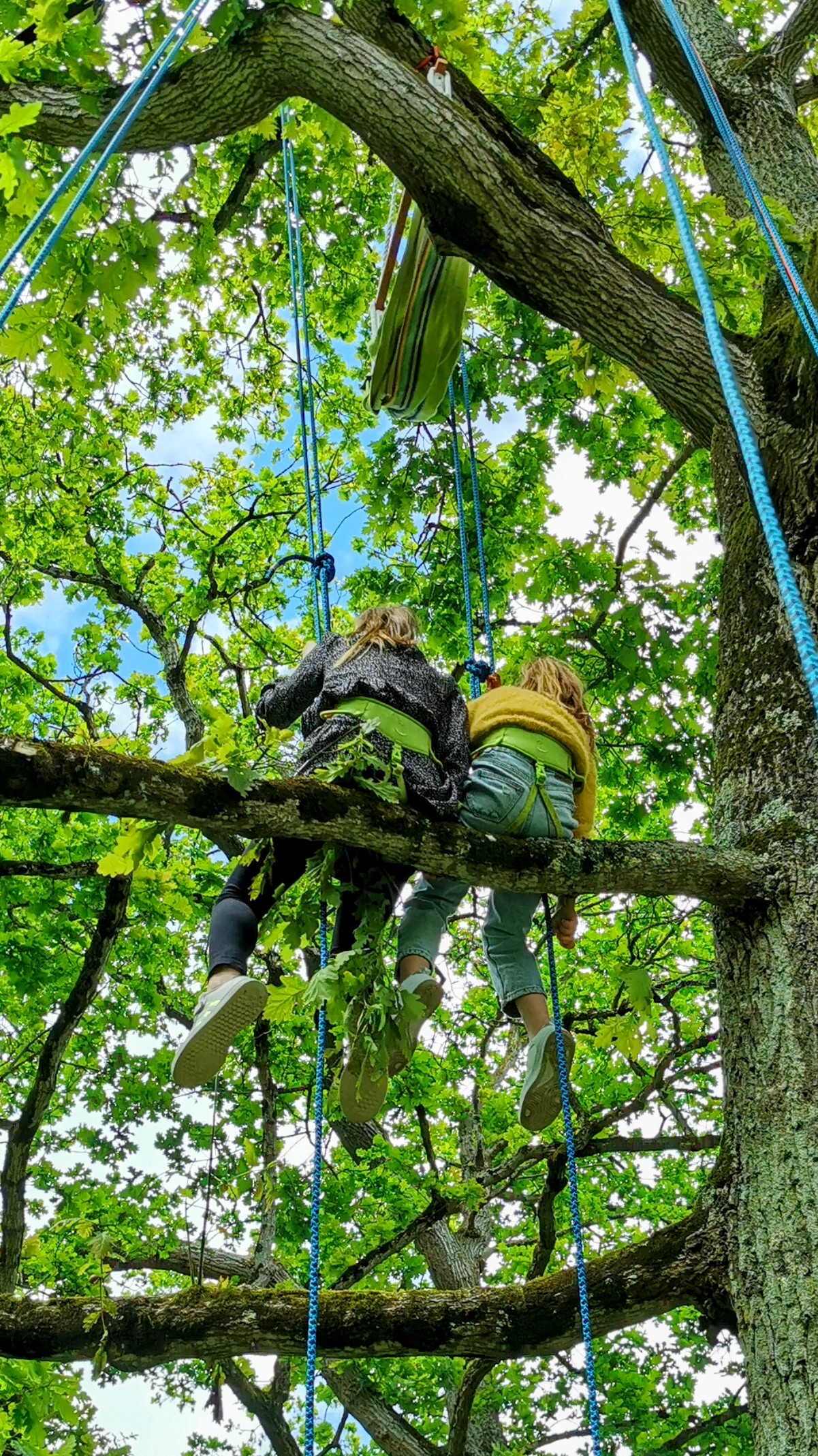 Tree Climbing Adventure - Dinan-Cap Fréhel Tourism