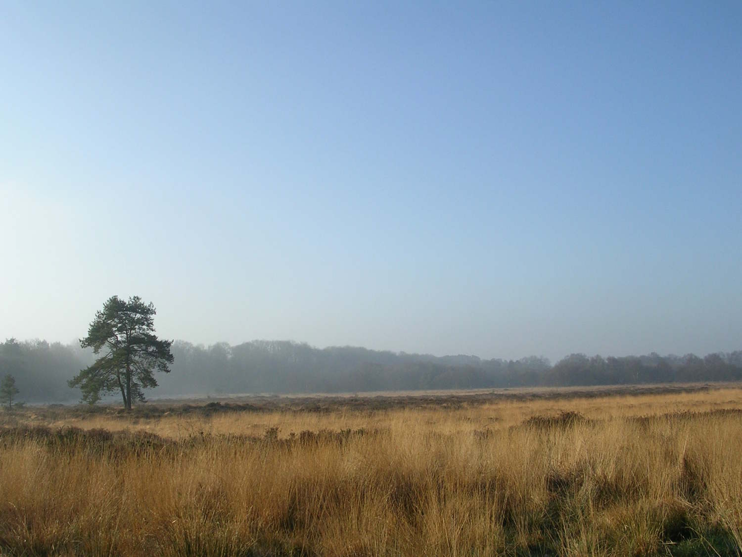 Ouvrir la diaporama Lan Bern en hiver-