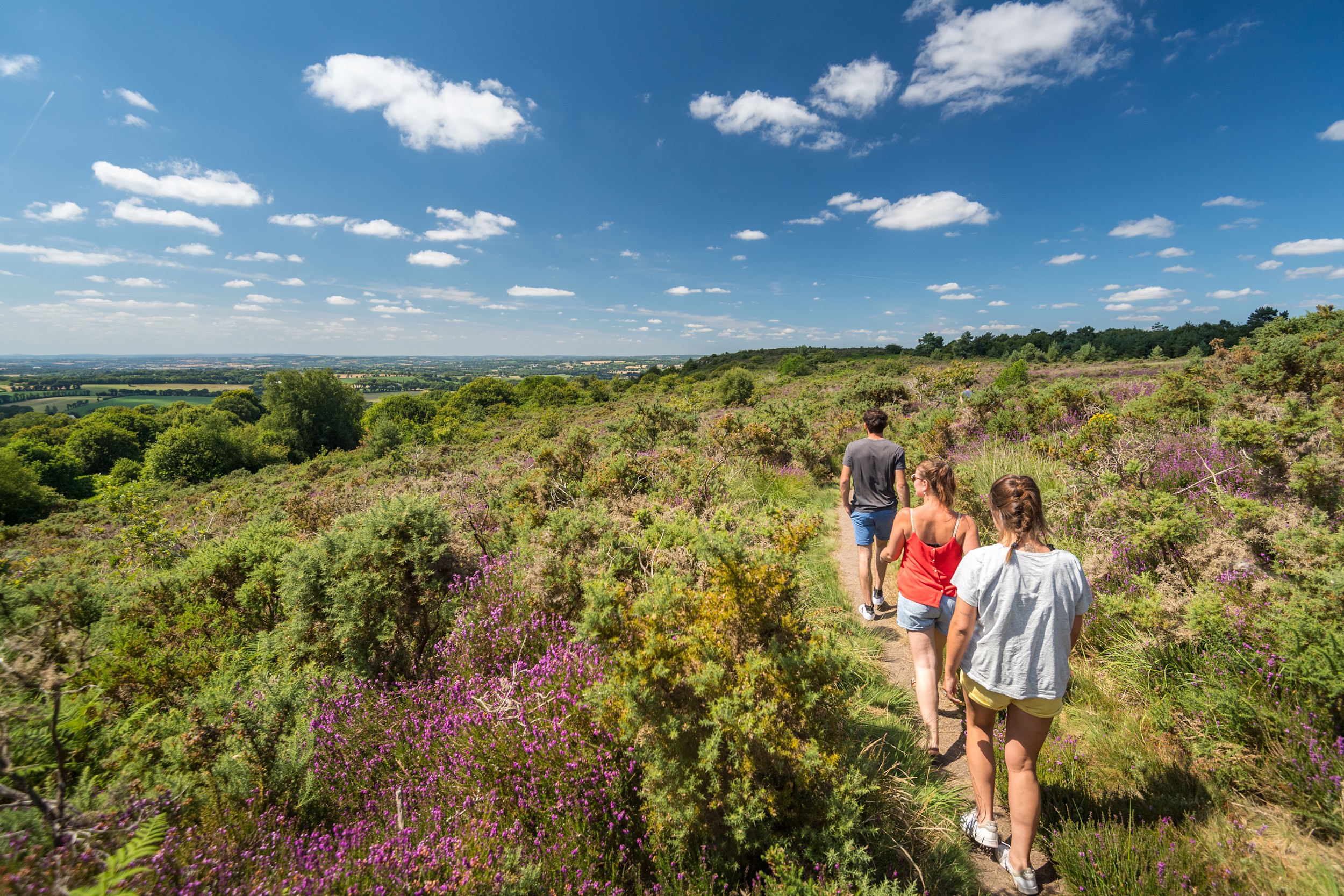 Ouvrir la diaporama Les landes de Locarn