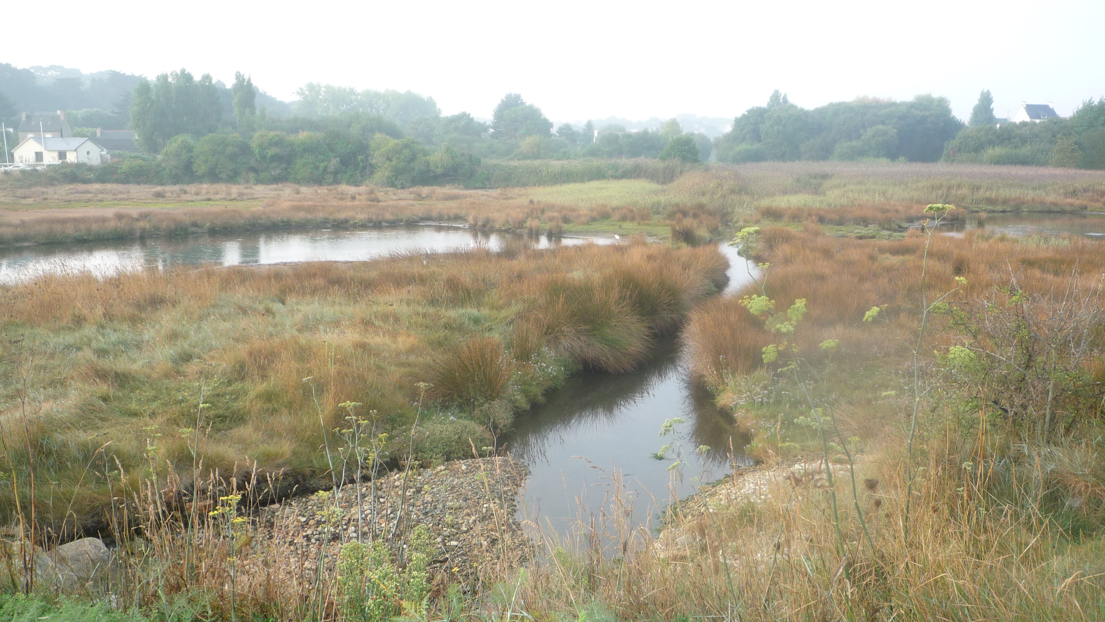 MARAIS DU GOASTER PENVENAN