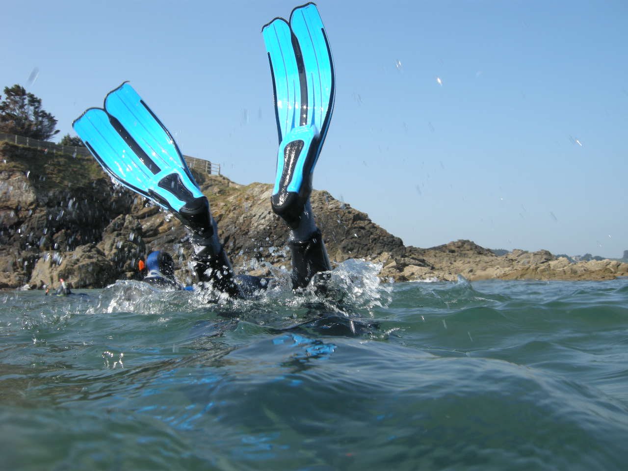 Palmes au pied pour une balade aquatique