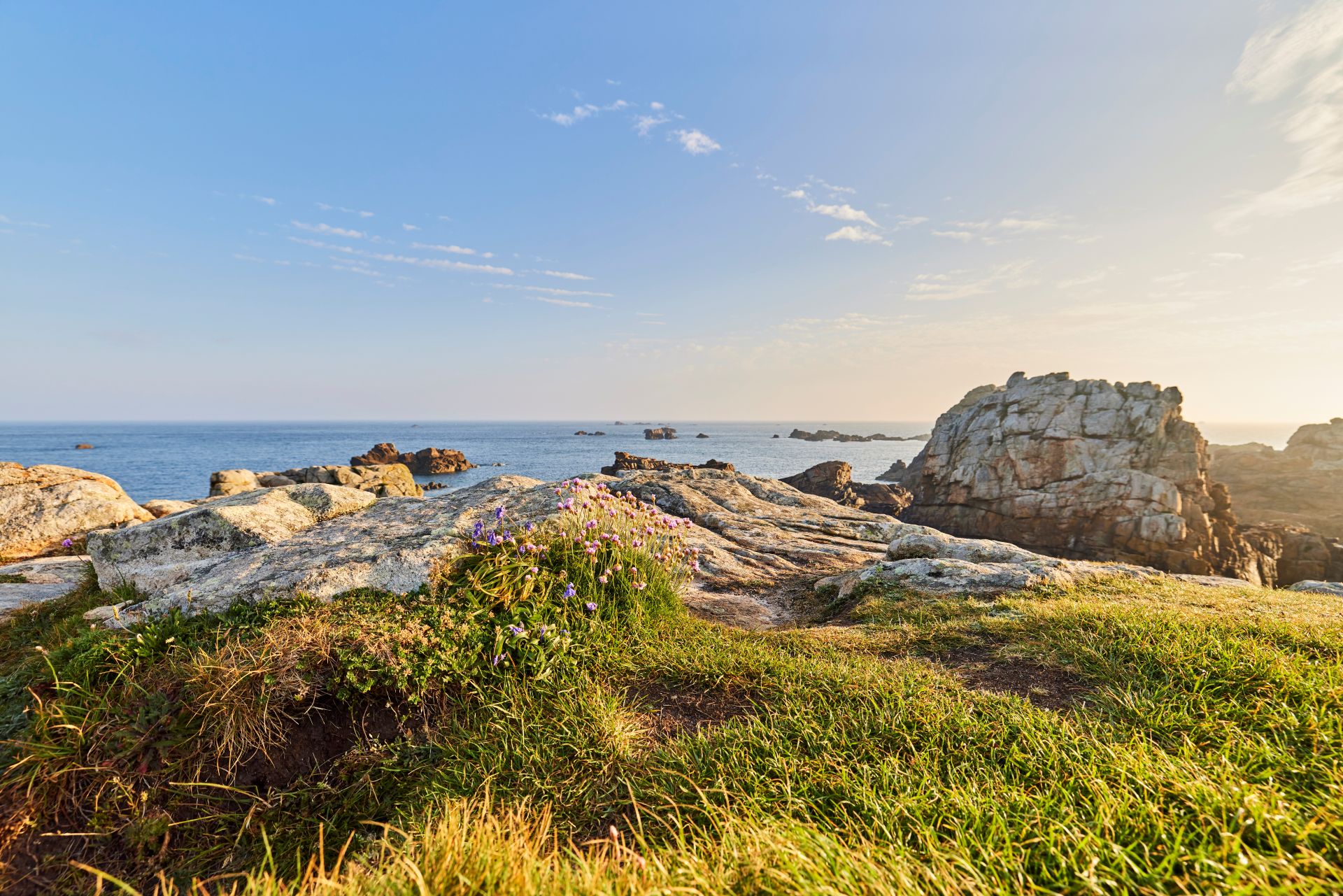 Plougrescant_Pointe_du_château@A.Lamoureux