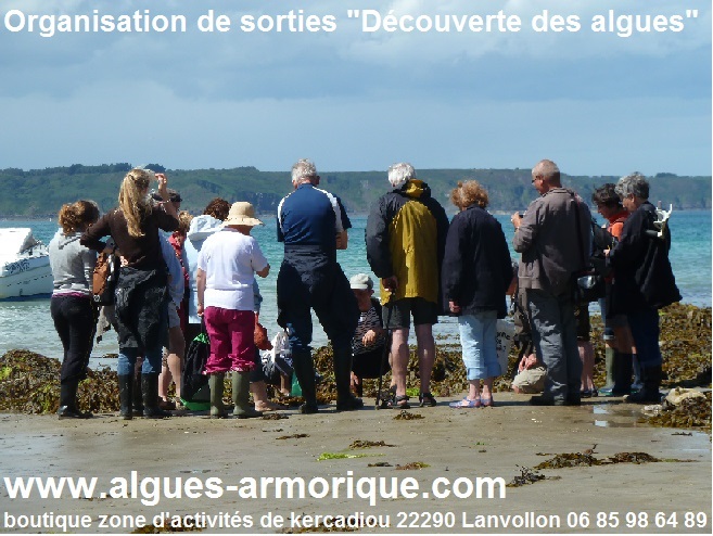 Visuel non libre de droit -©Office de tourisme Falaises d'Armor