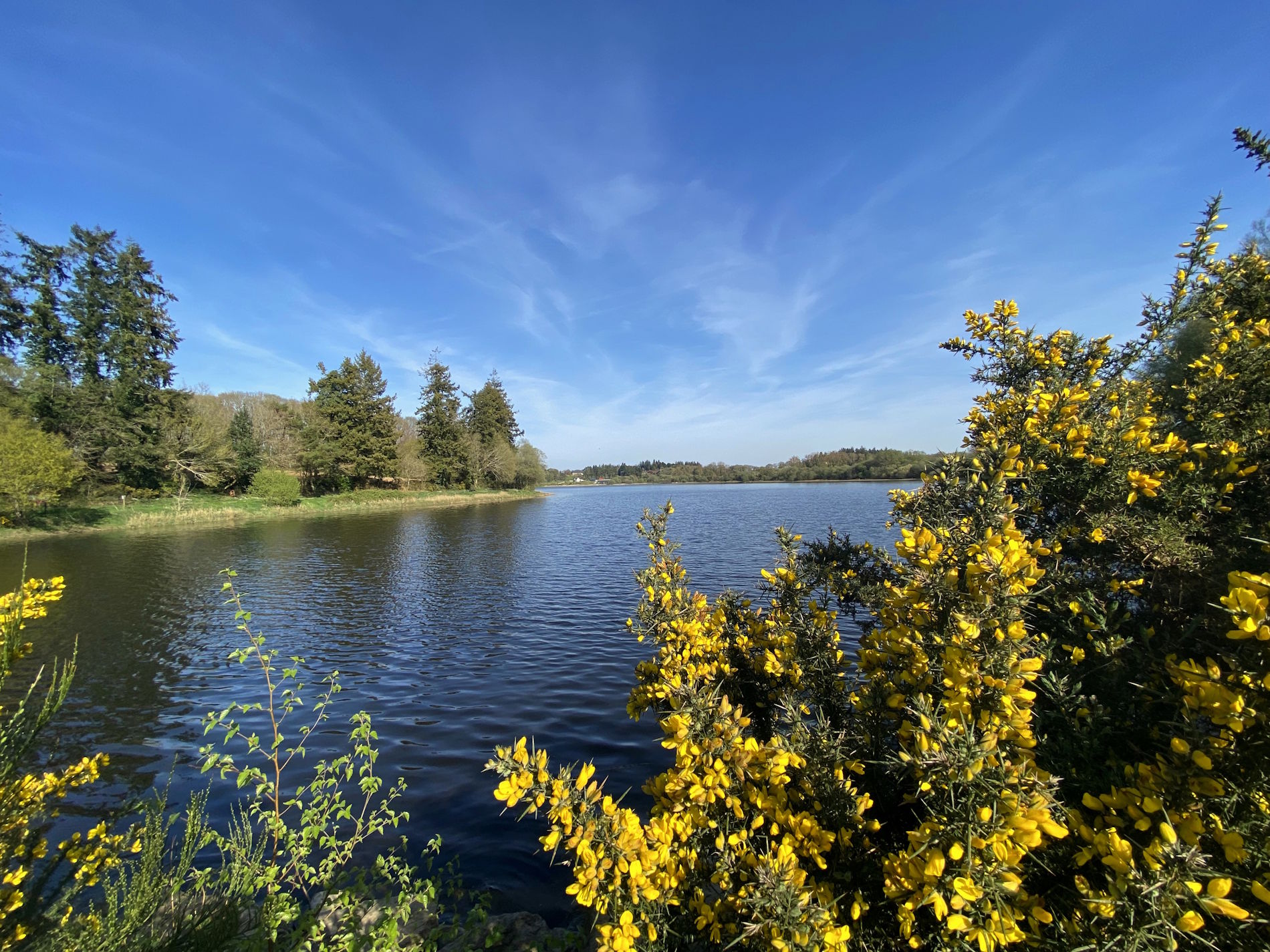 Ouvrir la diaporama Etang du Korong, Glomel