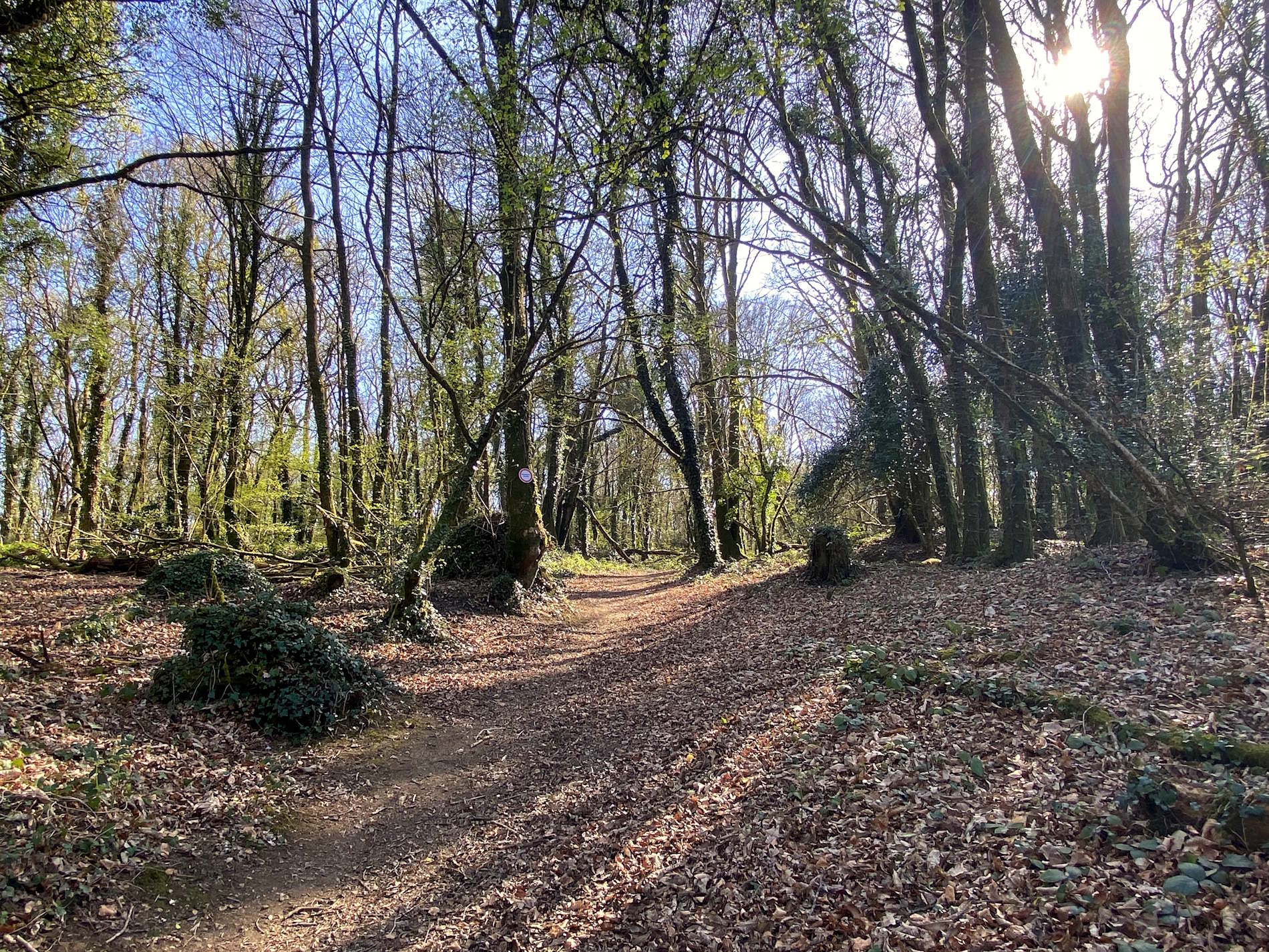 Ouvrir la diaporama Etang du Korong, Glomel
