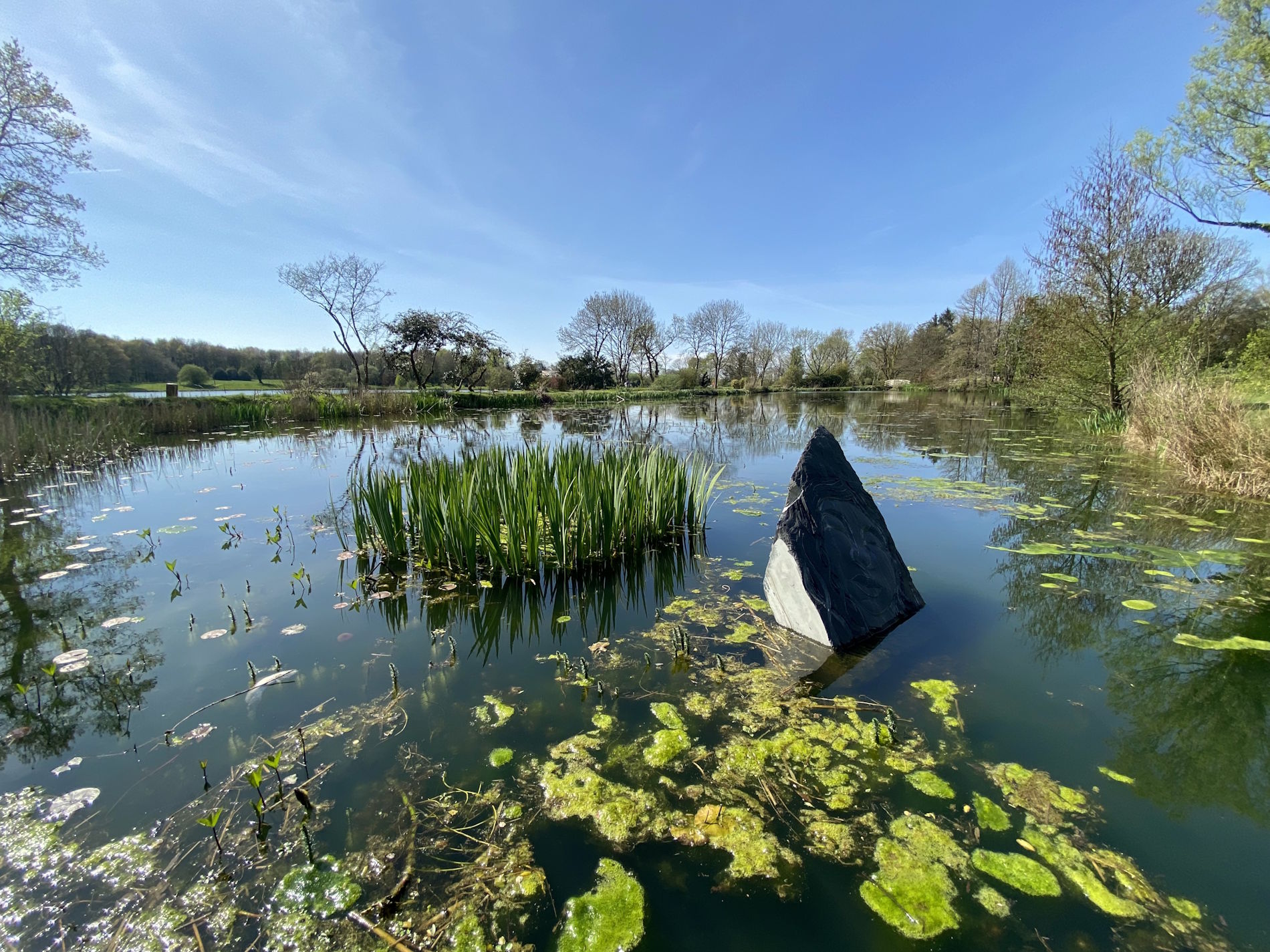 Ouvrir la diaporama Etangs de Maël-Carhaix