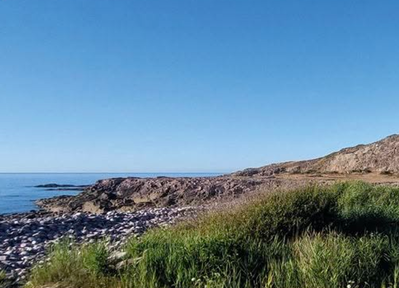 Sur les traces des Picotous