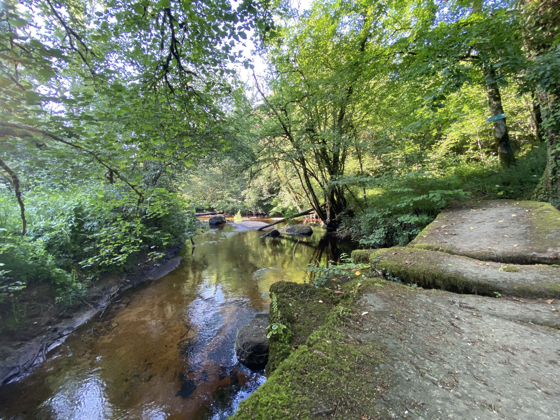 Ouvrir la diaporama Saint Roch, Plounévez-Quintin